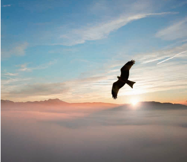 布局：星级网点全覆盖